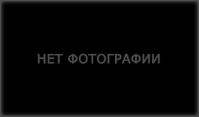 Картинки нет